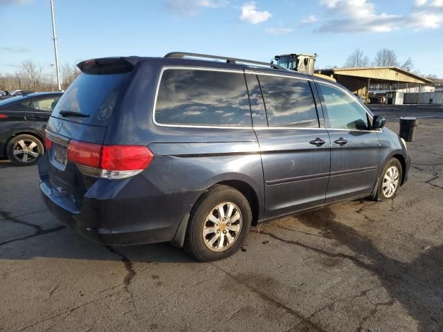 2008 Honda Odyssey EXL