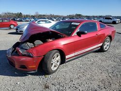 Salvage cars for sale at Lumberton, NC auction: 2010 Ford Mustang