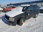 2007 Chevrolet Trailblazer LS