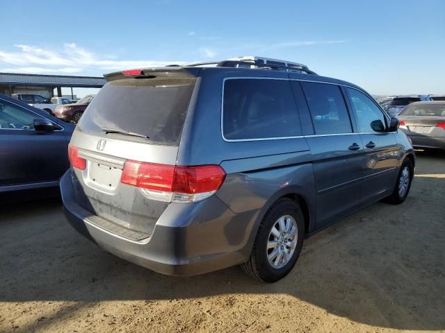 2010 Honda Odyssey EXL