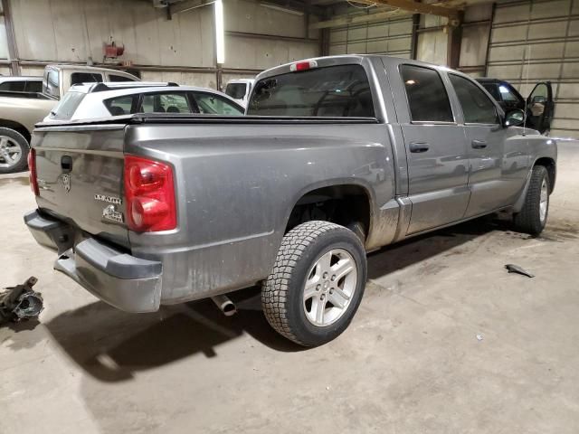 2011 Dodge Dakota SLT