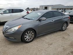 Salvage cars for sale at San Antonio, TX auction: 2014 Hyundai Sonata SE