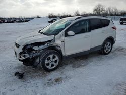 Salvage cars for sale at London, ON auction: 2015 Ford Escape SE