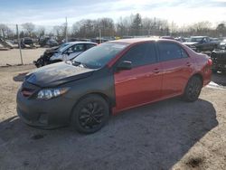 Salvage cars for sale from Copart Chalfont, PA: 2011 Toyota Corolla Base