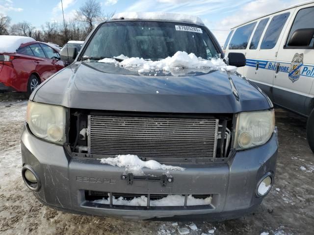 2011 Ford Escape XLT