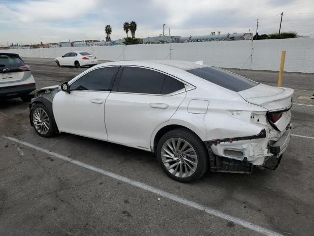 2019 Lexus ES 300H