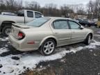 2001 Nissan Maxima GXE