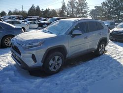 Salvage cars for sale at Denver, CO auction: 2024 Toyota Rav4 XLE