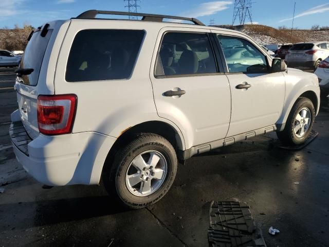 2011 Ford Escape XLT