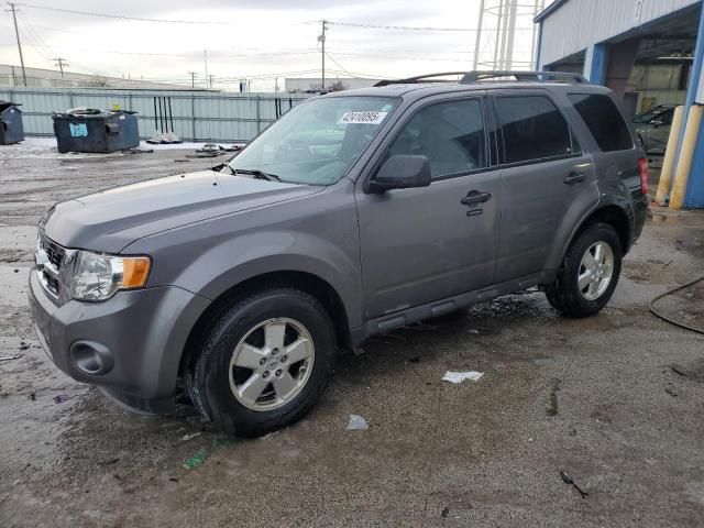 2011 Ford Escape XLT