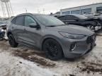 2023 Ford Escape ST Line Elite