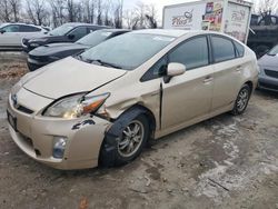 Salvage cars for sale at Baltimore, MD auction: 2010 Toyota Prius