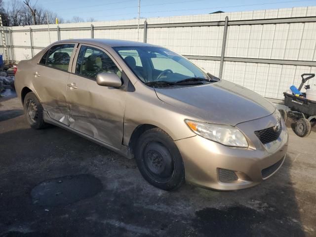 2010 Toyota Corolla Base