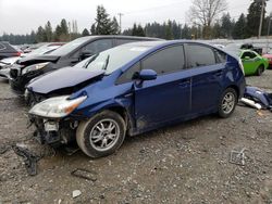 Toyota salvage cars for sale: 2010 Toyota Prius