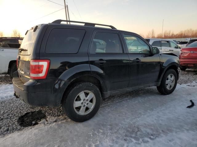 2010 Ford Escape XLT