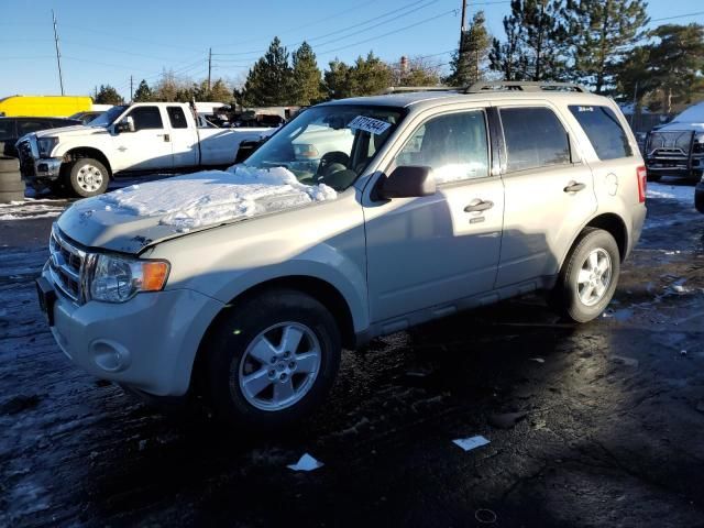 2009 Ford Escape XLT