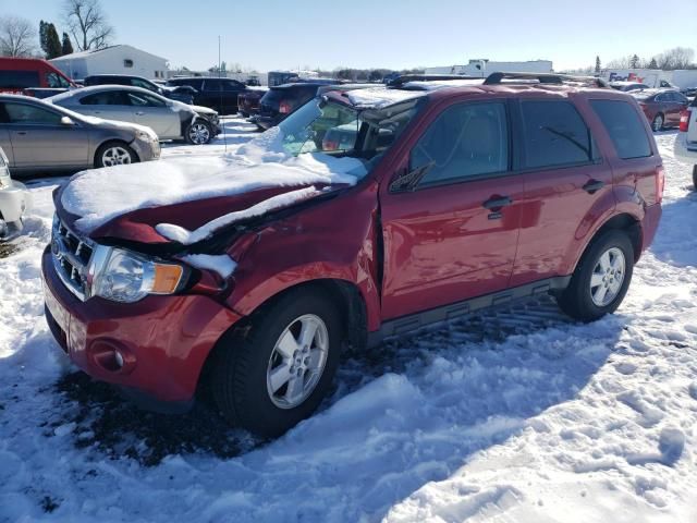 2011 Ford Escape XLT