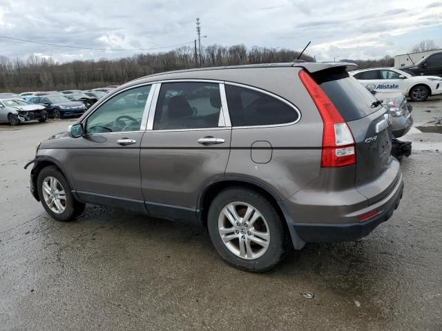 2010 Honda CR-V EXL