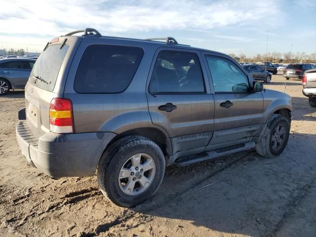 2005 Ford Escape XLT