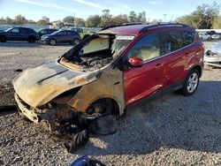 Salvage Cars with No Bids Yet For Sale at auction: 2013 Ford Escape SE