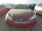 2009 Lexus ES 350