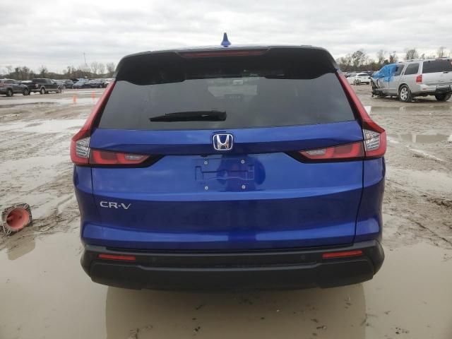 2024 Honda CR-V EXL