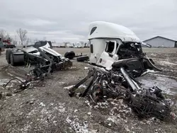 Salvage trucks for sale at Portland, MI auction: 2020 Freightliner Cascadia 126