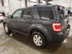 2009 Ford Escape Limited