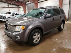 Salvage cars for sale at auction: 2009 Ford Escape XLT