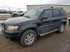 2007 Ford Escape XLT