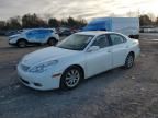 2003 Lexus ES 300