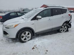 Clean Title Cars for sale at auction: 2015 Ford Escape SE