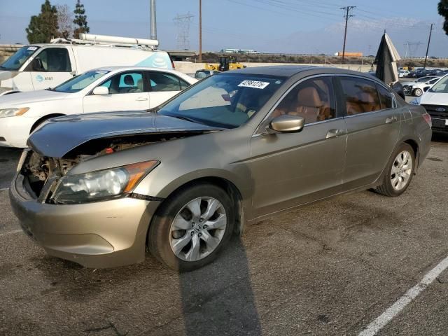 2010 Honda Accord EXL