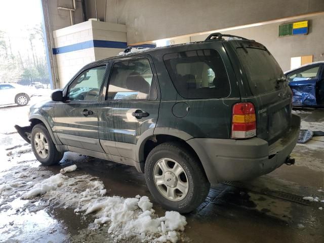 2002 Ford Escape XLT