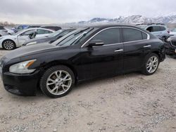 Salvage cars for sale at Magna, UT auction: 2012 Nissan Maxima S