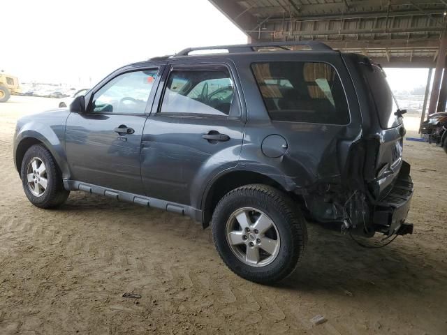 2009 Ford Escape XLT