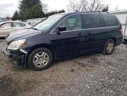 Honda salvage cars for sale: 2007 Honda Odyssey EXL