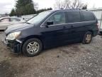 2007 Honda Odyssey EXL