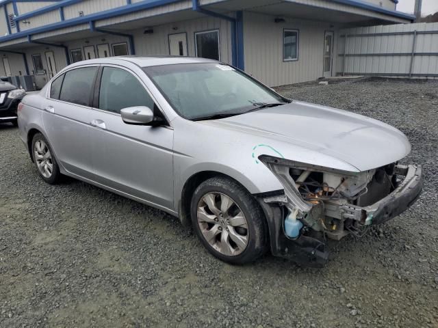 2008 Honda Accord EXL