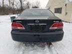 2005 Lexus ES 330