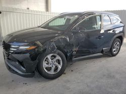 Salvage cars for sale at West Palm Beach, FL auction: 2024 Hyundai Tucson SEL