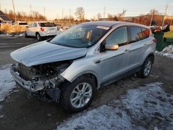 Vehiculos salvage en venta de Copart Bridgeton, MO: 2019 Ford Escape SE