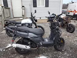 Salvage motorcycles for sale at Baltimore, MD auction: 2023 Zhejiang Scooter