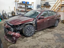 2023 Nissan Altima SV en venta en Ham Lake, MN