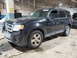 Salvage cars for sale at Woodhaven, MI auction: 2011 Ford Escape Limited