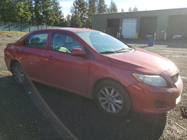 2010 Toyota Corolla Base