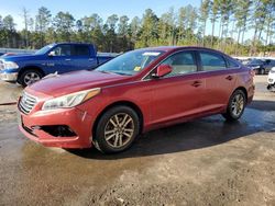 Salvage cars for sale at Harleyville, SC auction: 2016 Hyundai Sonata SE