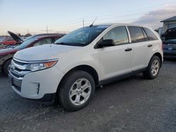 Salvage cars for sale at Eugene, OR auction: 2013 Ford Edge SE