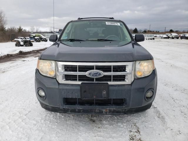 2009 Ford Escape XLT