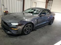 Salvage cars for sale from Copart Harleyville, SC: 2022 Ford Mustang